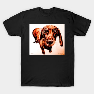 Dave the Dachshund 2 by AllansArts T-Shirt